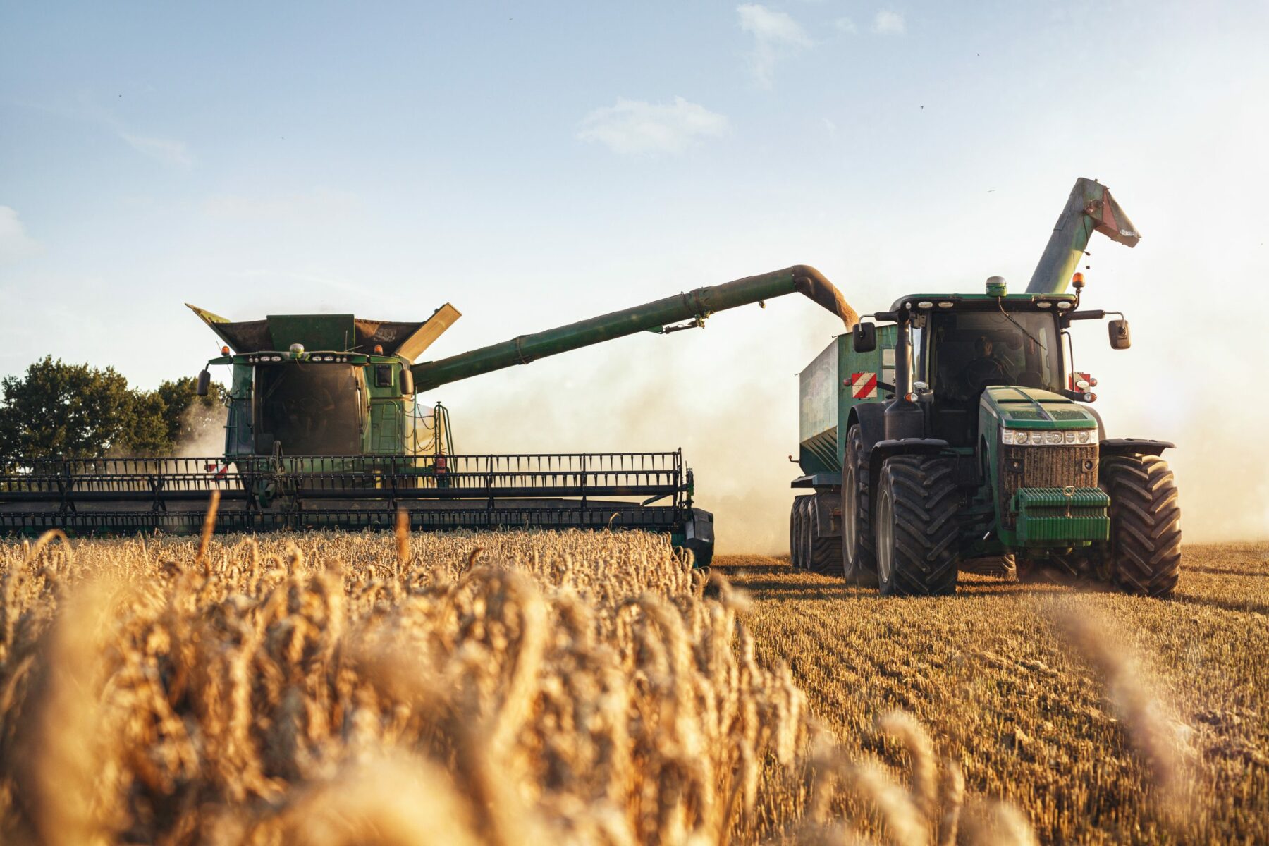 Combine Harvesting Grain into Grain Truck